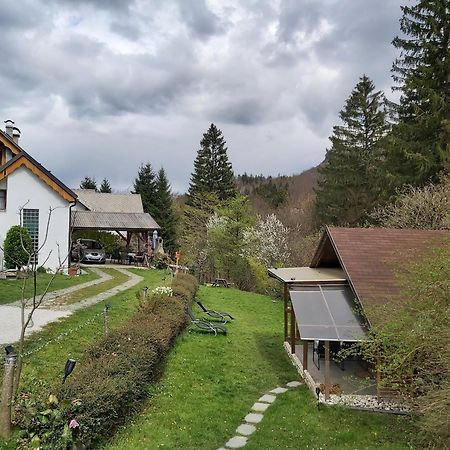 בוהינסקה בלה Ingreen House מראה חיצוני תמונה